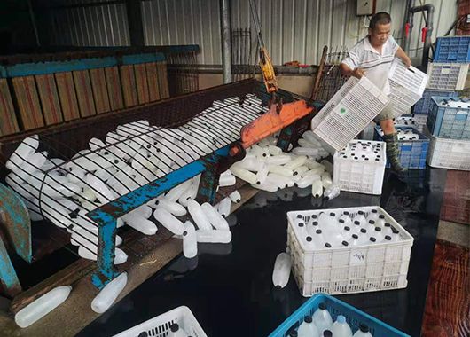 福建20吨盐水池制冰案例