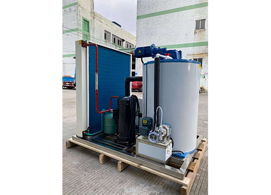广西某水产市场3吨片冰机案例