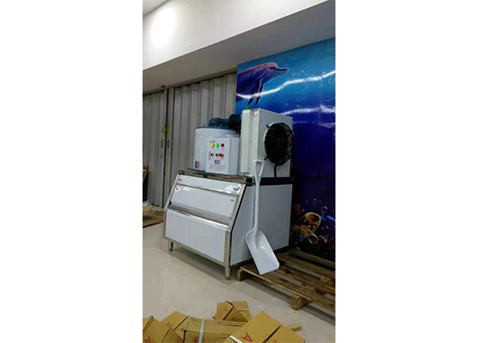 海南某水产店500公斤片冰机案例