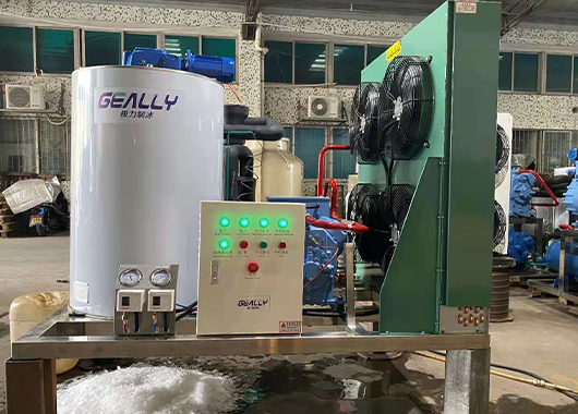 广西某化工厂3吨片冰机案例