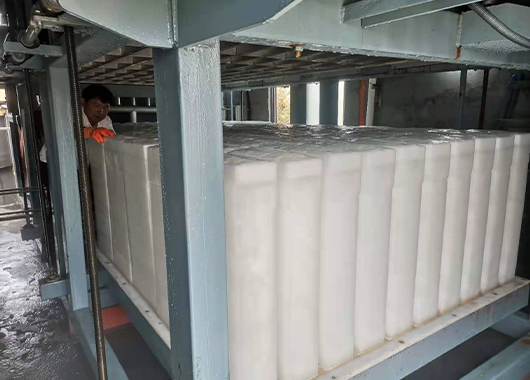 莆田10吨直冷式块冰机案例