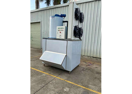 广西某水产市场3吨片冰机案例